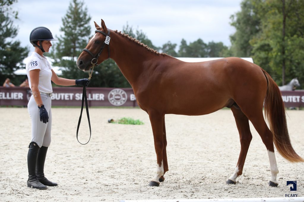 Lost Min de Reve - ph. Agence Ecary